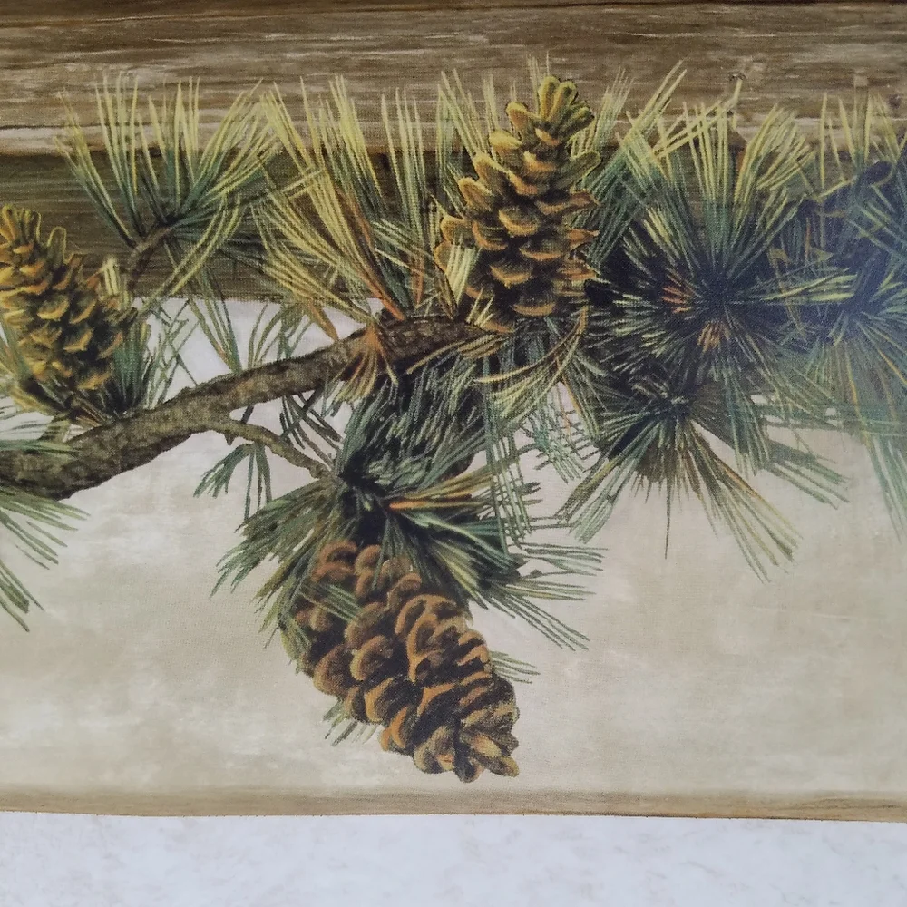 Wallpaper Border Pine Cone Pine Branches